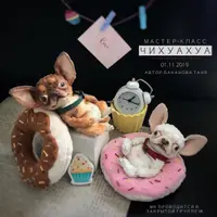 Чихуахуа в стиле тедди