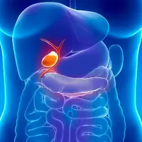 Желчный пузырь