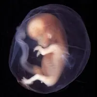 Тьма исцеляет тело