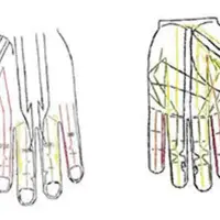 Бёль-меридианы. Вебинар № 2