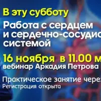 Работа с сердцем и сердечно-сосудистой системой