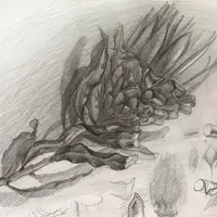 Цветок томной африканской розы