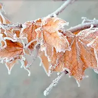 Как пережить зиму правильно