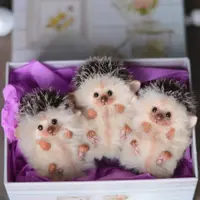 Создание мини ежика