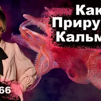 Вагинальный массаж