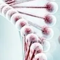 Гомоцистеин