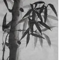 Sumie - Bamboo для начинающих