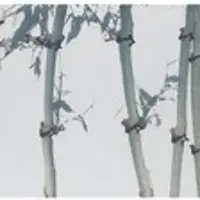 Курс китайской живописи Sumie: рисуем бамбук