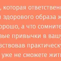 Экопривычки