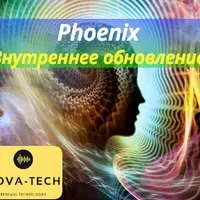 Phoenix. Внутреннее обновление