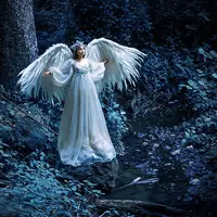 Крылья из изолона #2