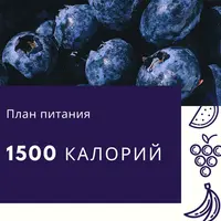 Готовый план питания на 1500 ккал