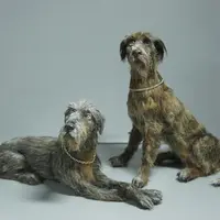 Лучший друг куклы: Ирландский волкодав