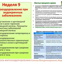Фитооздоровление при эндокринных заболеваниях: щитовидная железа и диабет