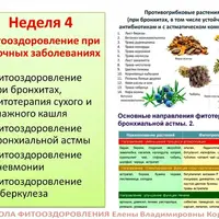 Фитооздоровление при лёгочных заболеваниях