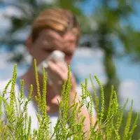 Фитотерапия при аллергии