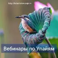 Применение коррективных средств ведической астрологии