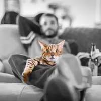 Идеальная мотивация