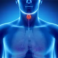 Возможности Су Джок терапии и традиционной китайской медицины в эндокринологии. Занятие № 1