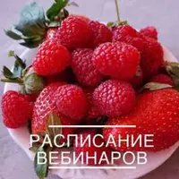 Крышки макарон