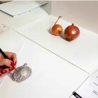 Вводный курс для начинающих