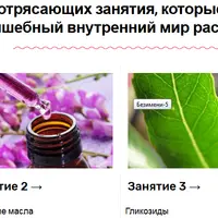 Учимся читать состав трав