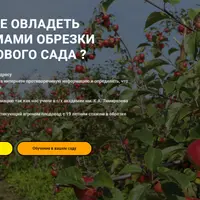 Обрезка плодового сада