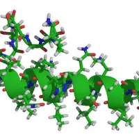 Метаболическая перезагрузка