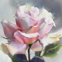 Портрет одной розы