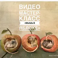 Мышь в яблоке