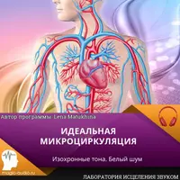 Идеальная микроциркуляция