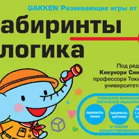 Лабиринты и логика