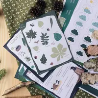 Детская школа Сойкин след