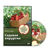 Садовая хирургия