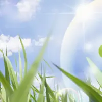 Мастер-класс по системам очищения организма