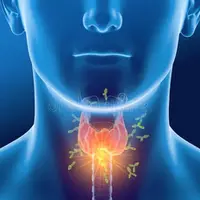 Путеводитель по щитовидной железе