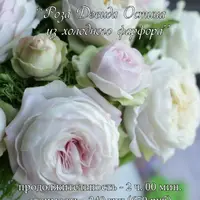 Роза Дэвида Остина из холодного фарфора