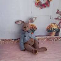 Длиннолапые ушастики