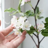 Яблоня из холодного фарфора