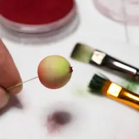 Веточка яблони из полимерной глины