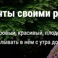 Сад мечты своими руками