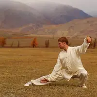 24 формы тайцзицюань