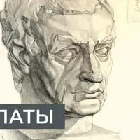 Голова Гаттамелаты. Построение, пропорции, объем