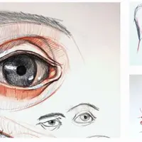 Анатомия головы