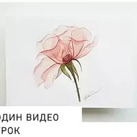 Прозрачные цветы