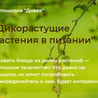 Дикорастущие растения в питании