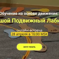 Большой Подвижный Лабиринт