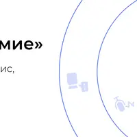 Стратегия. Фокус. Безумие