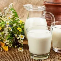 Молоко: мифы и реальность