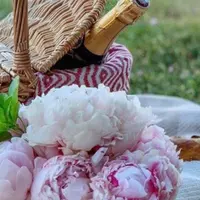 Краткий курс красивой жизни: été